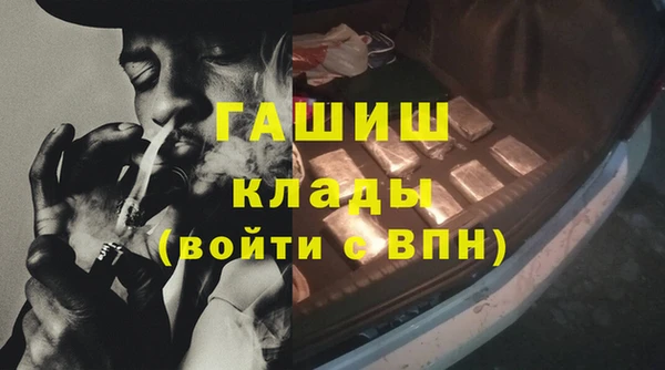 прущие грибы Аркадак