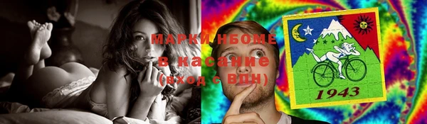 прущие грибы Аркадак