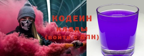прущие грибы Аркадак