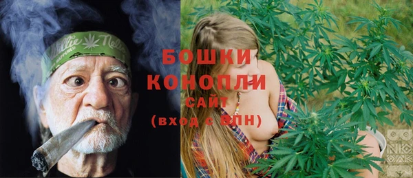 прущие грибы Аркадак