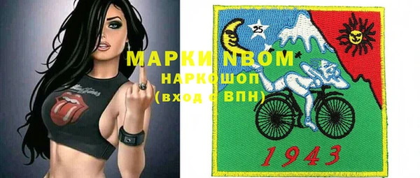 прущие грибы Аркадак