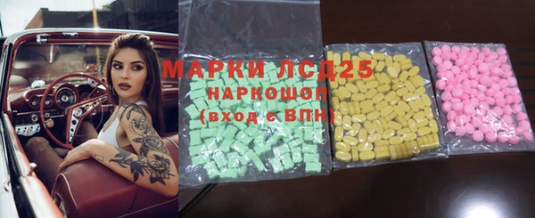 прущие грибы Аркадак